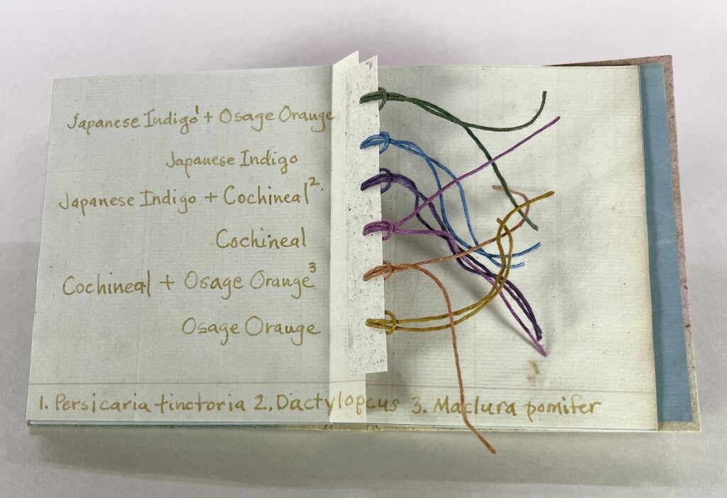 artist book