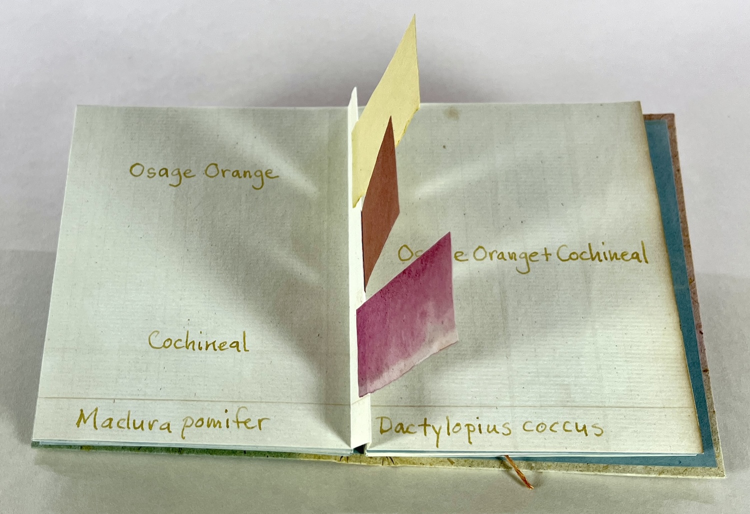 Reaction: Artists Transform the Sample Book | Science History Institute