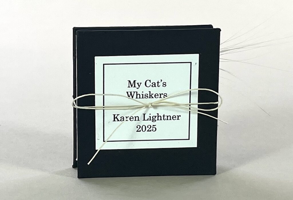 artist book