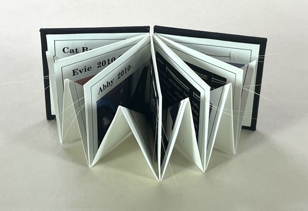 artist book