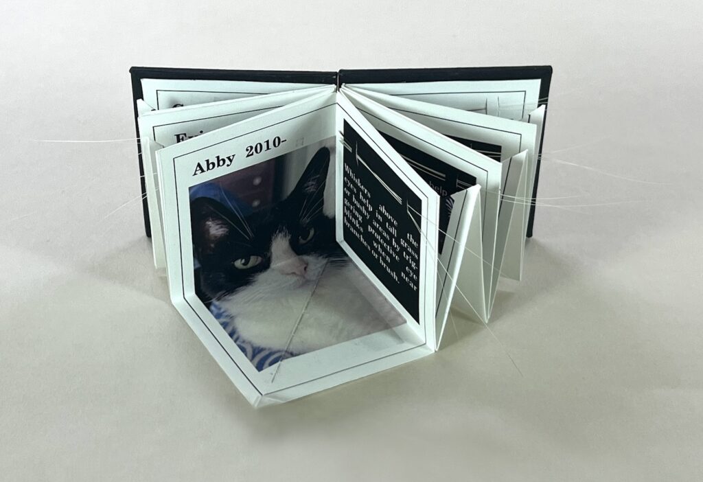 artist book