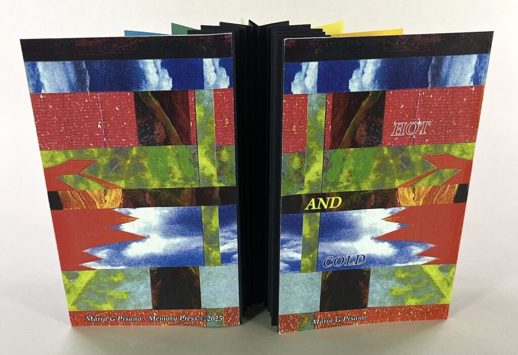 artist book