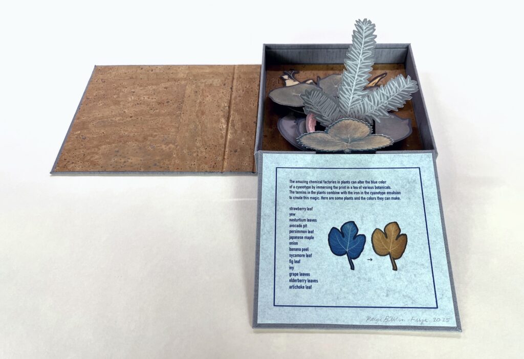 artist book