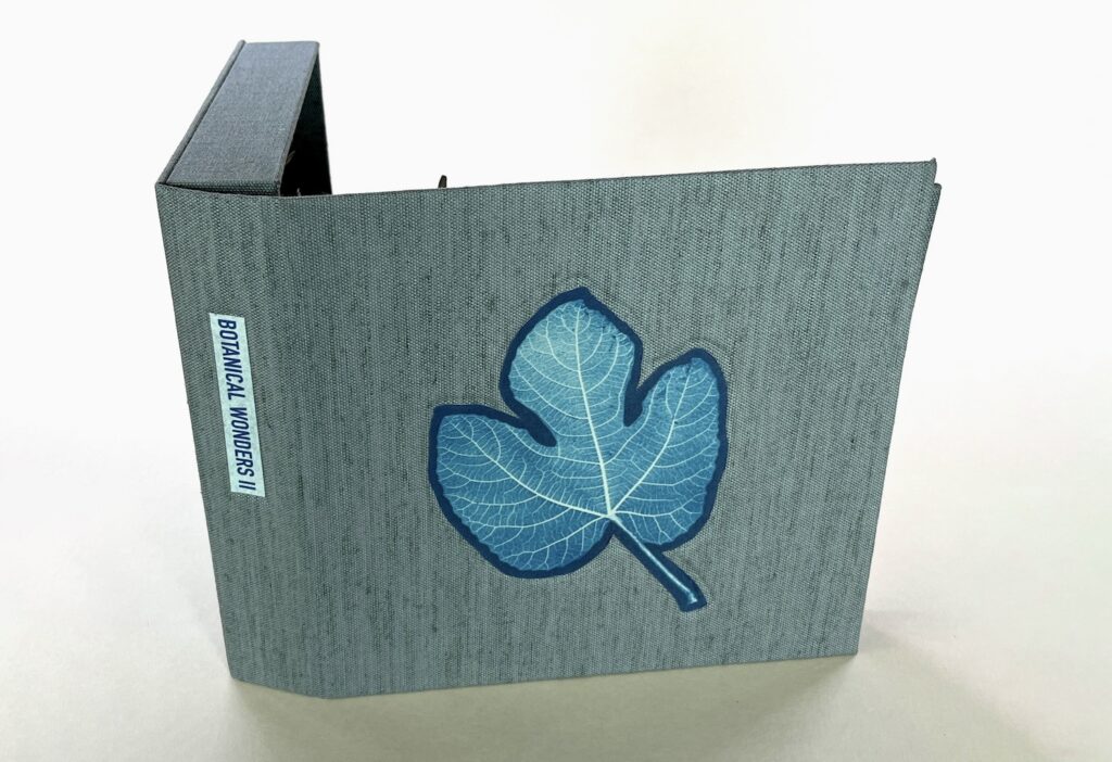 artist book