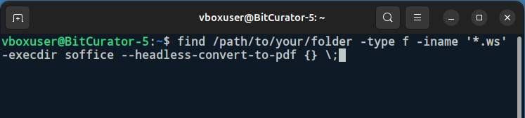 The command to convert files with the .ws extension to PDF format