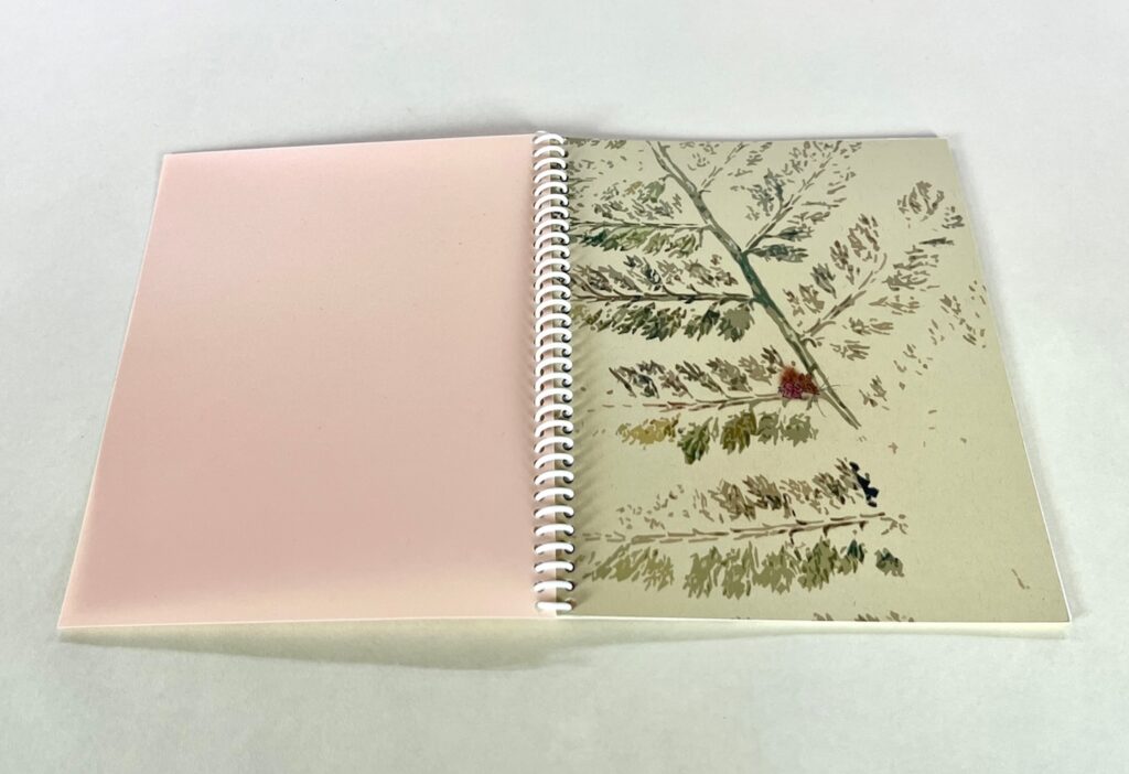 artist book