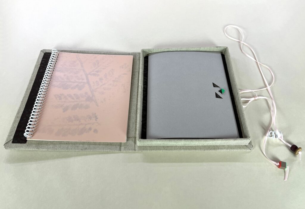 artist book