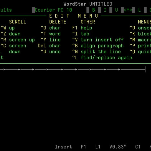 screenshot of computer language