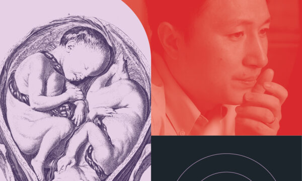 Collage with twins in utero and a phot of scientist He Jiankui