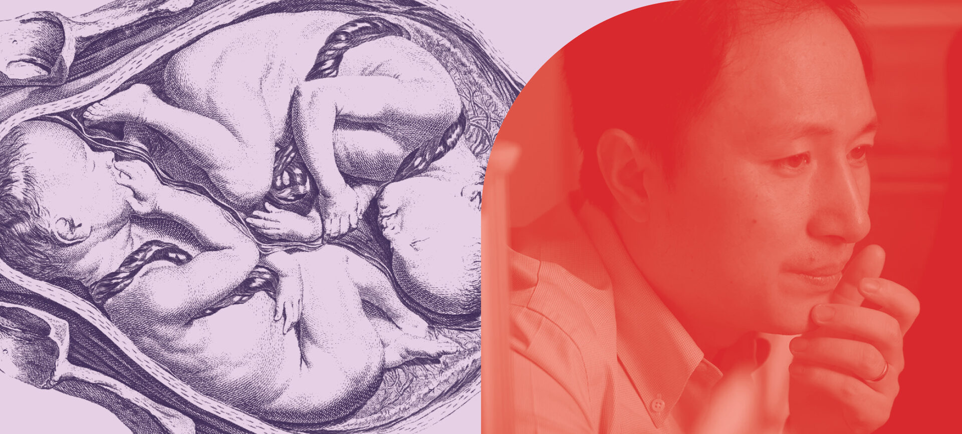 Collage with twins in utero and a phot of scientist He Jiankui
