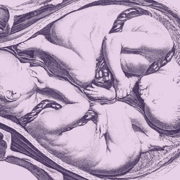 Collage with twins in utero and a phot of scientist He Jiankui