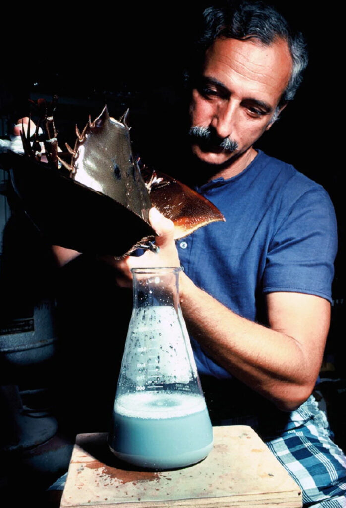Color photo portrait of a man in a lab holding a horseshoe crab over a flask half full of blue liquid