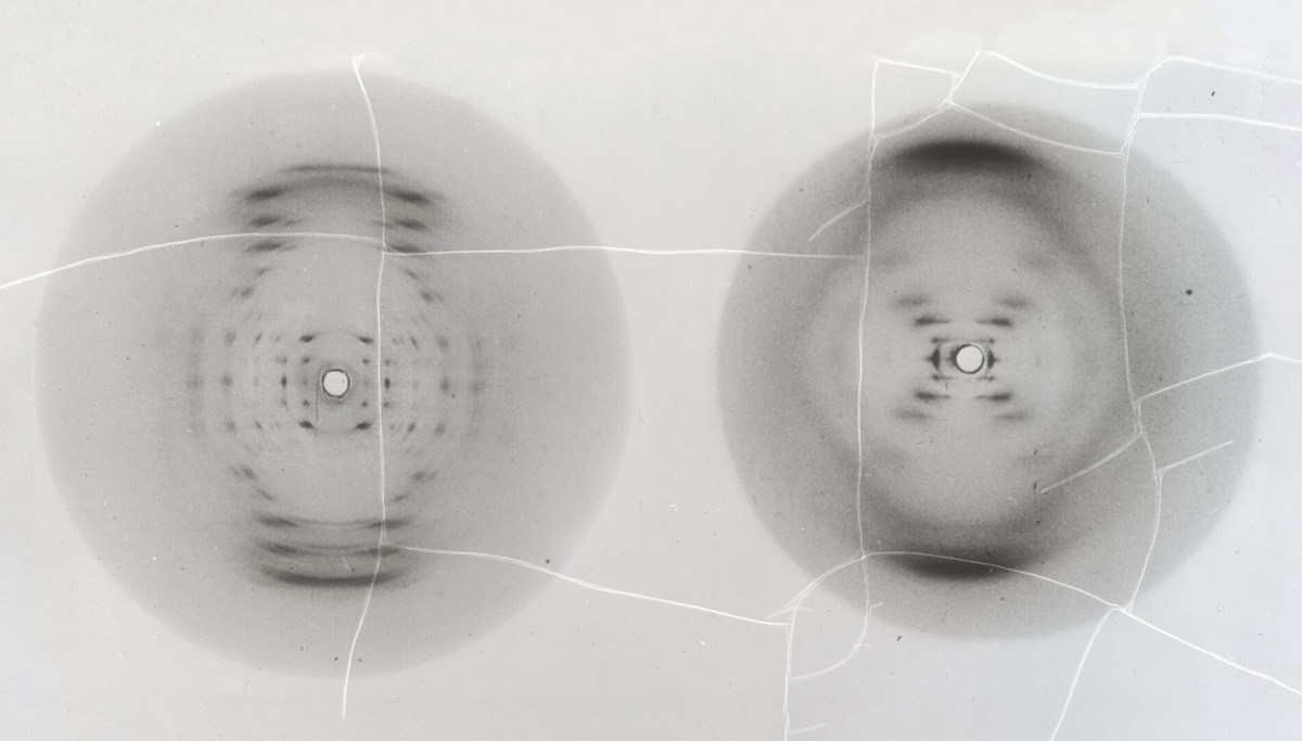 negative of an image of DNA