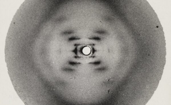 X-ray diffraction pattern of DNA, known as Photograph 51, historically significant in molecular biology.