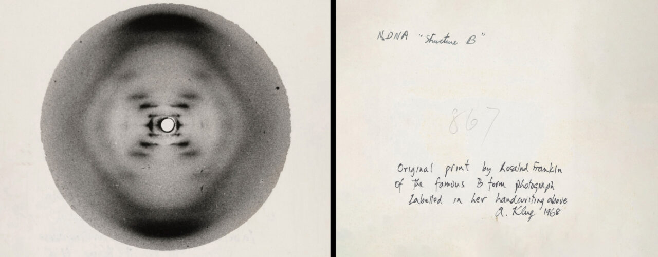 front and back of a photo of DNA