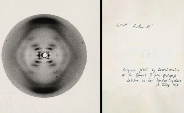 front and back of a photo of DNA