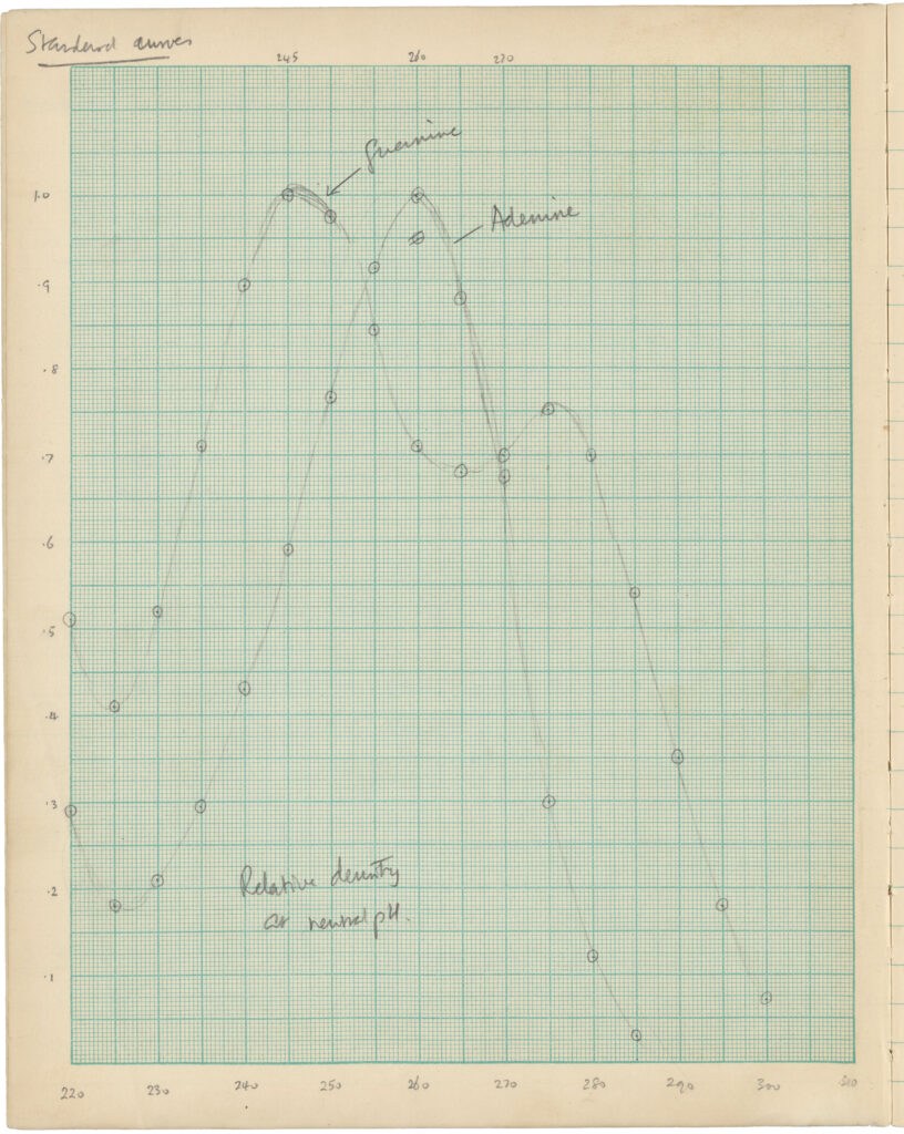 linear graph on green graph paper
