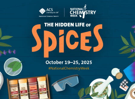 ACS The Hidden Life of Spices artwork