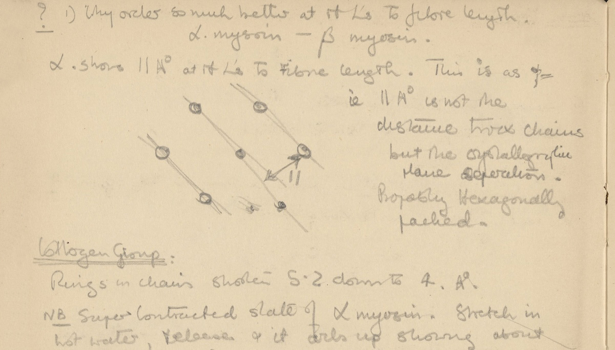 page from an old notebook