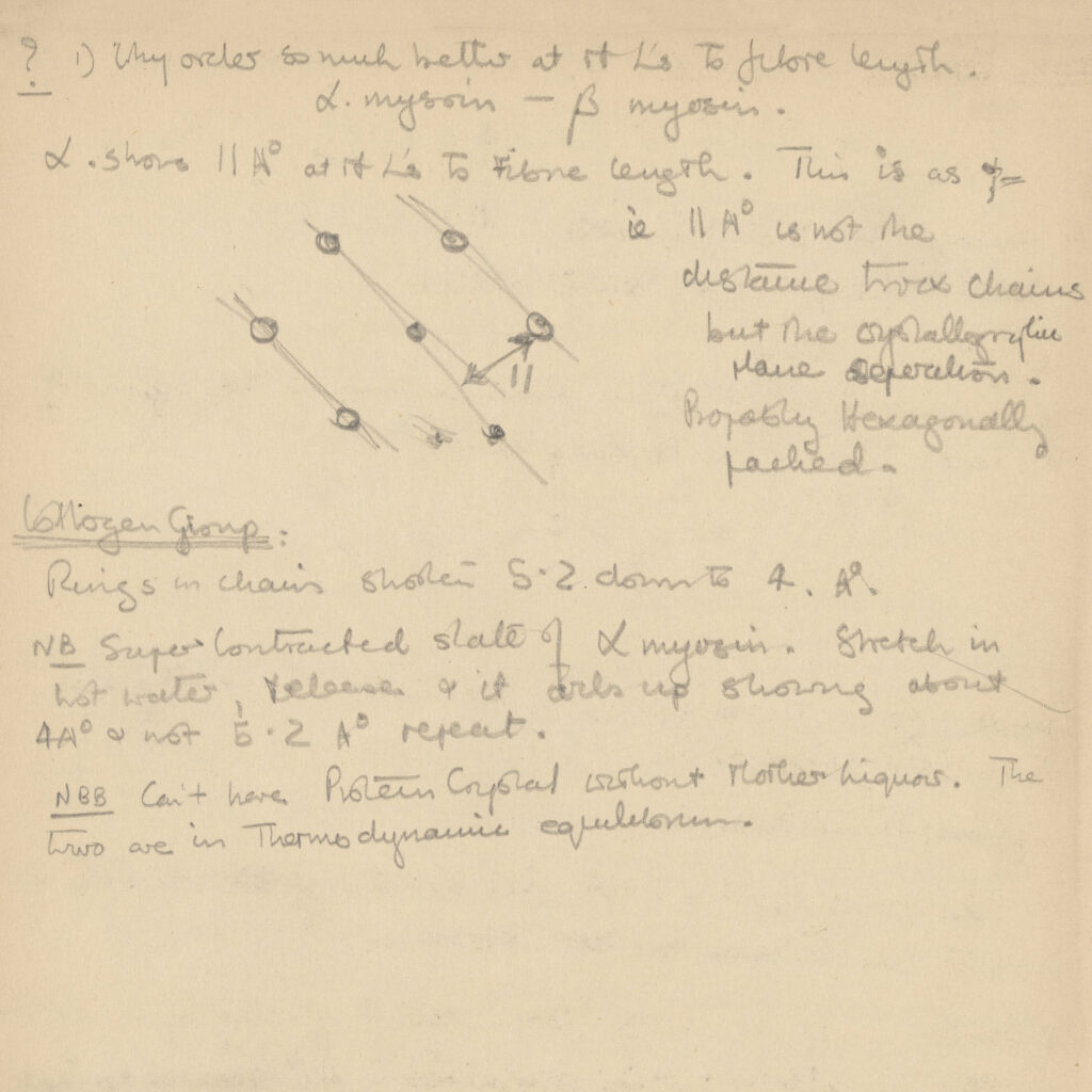 handwritten notes from an old notebook