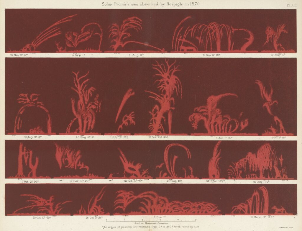 solar prominences