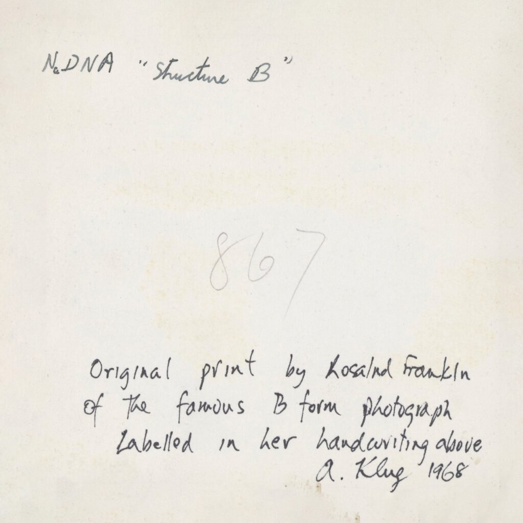 handwritten notes on the back of a photo