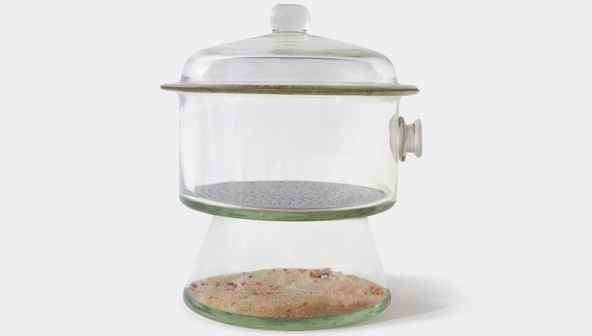 glass jar used in a lab