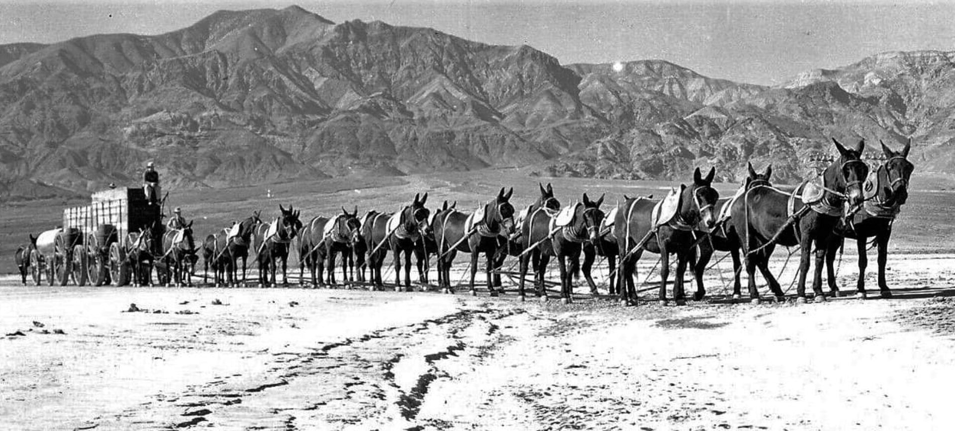 Foto antigua en blanco y negro que muestra un gran equipo de mulas tirando de una hilera de carretas a través de un paisaje desértico montañoso.