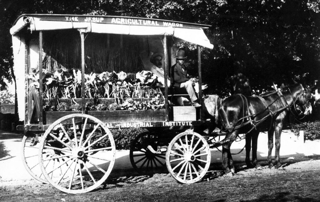 Foto en blanco y negro de dos hombres conduciendo una carreta cargada con verduras por un camino de tierra con árboles al fondo. Un par de mulas está enganchado a la carreta.