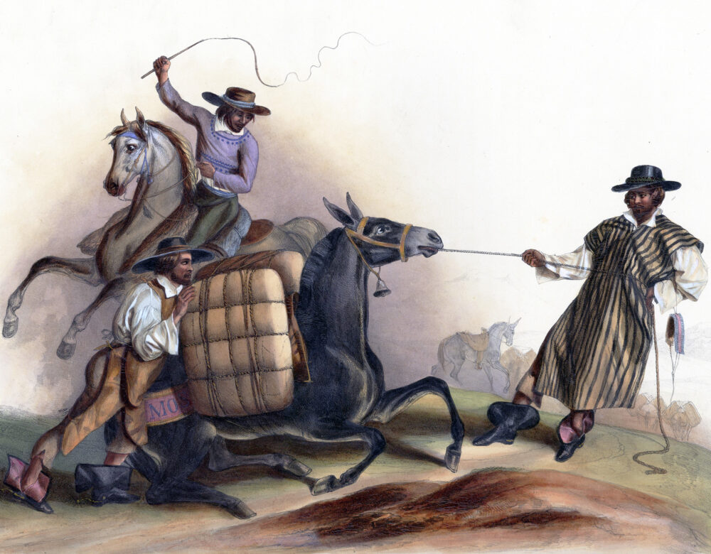 Illustration of three men whipping, pushing, and pulling a mule with a rope on a road,