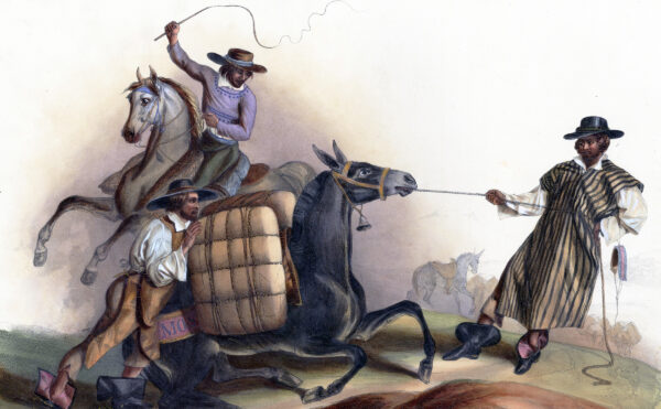 Illustration of three men whipping, pushing, and pulling a mule with a rope on a road,