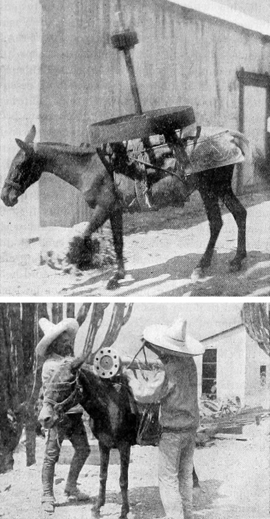 Un par de fotos: una muestra a una mula con una gran pieza de equipo en forma de rueda sobre el lomo; la otra muestra a hombres con sombreros cargando a una mula con una pieza de maquinaria minera.