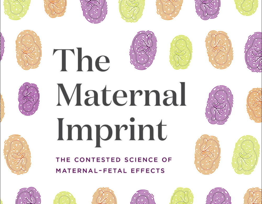 Book cover of The Maternal Imprint showing a pattern of colorful thumbprints