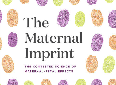 Book cover of The Maternal Imprint showing a pattern of colorful thumbprints