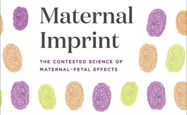 Book cover of The Maternal Imprint showing a pattern of colorful thumbprints