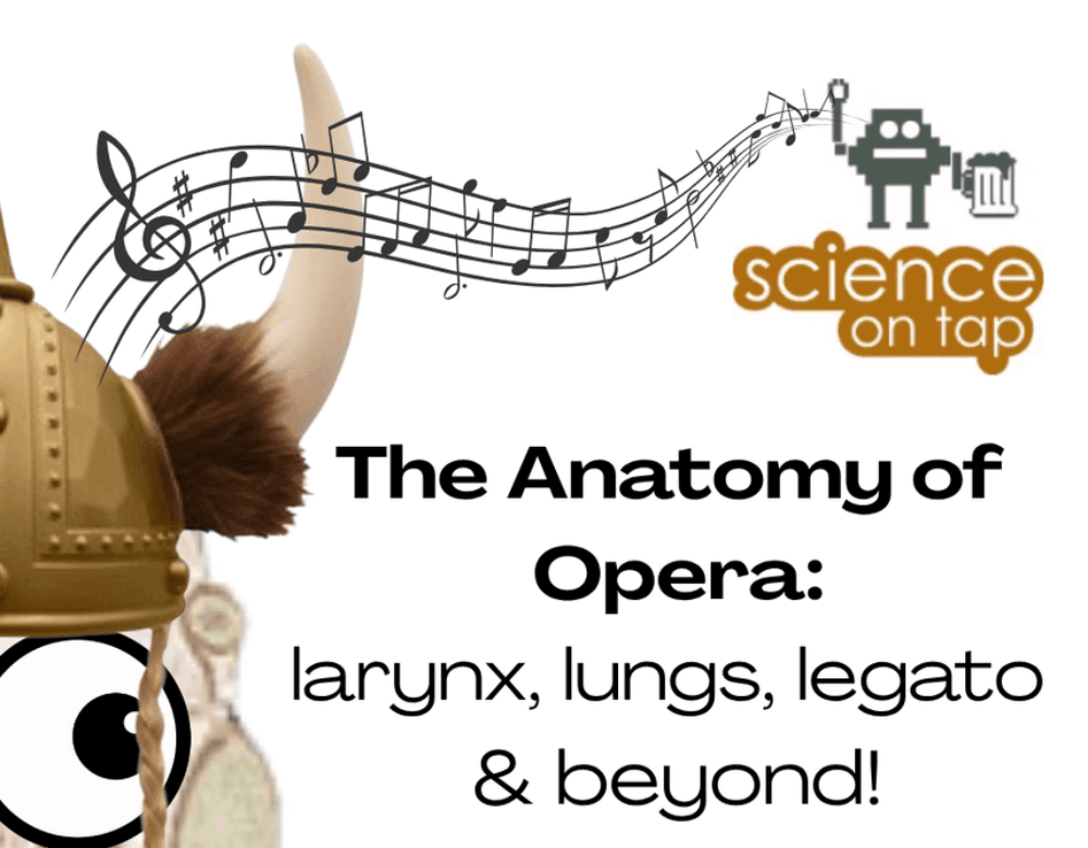 graphic including viking helmet and cartoon eyes