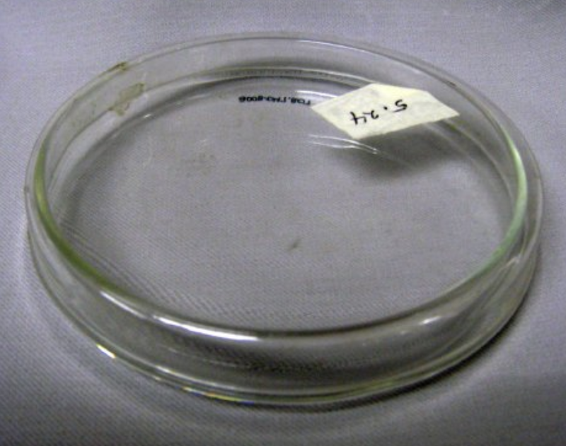 Undated glass petri dish with glass cove
