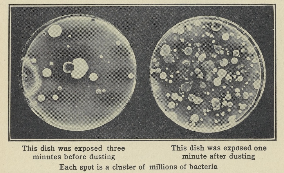 Illustration of bacteria on petri dishes, from The Science of Common Things, 1922.