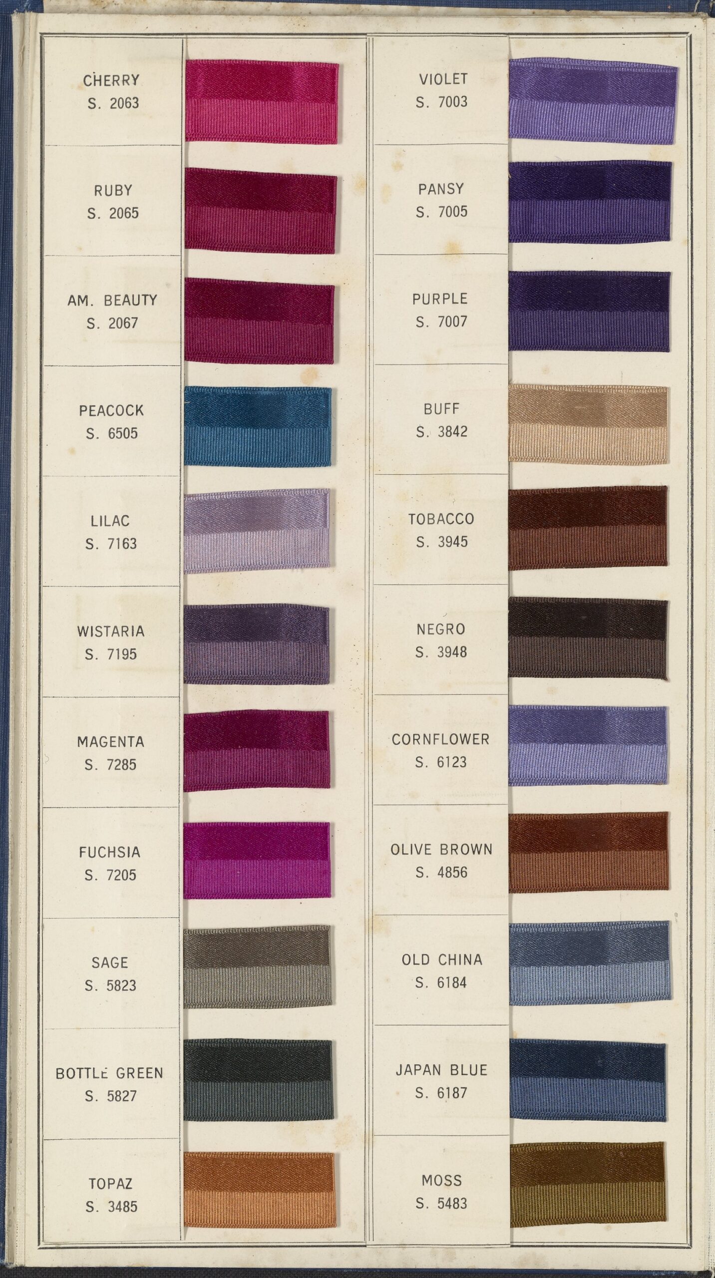 A Stain Worth a Thousand Words | Science History Institute