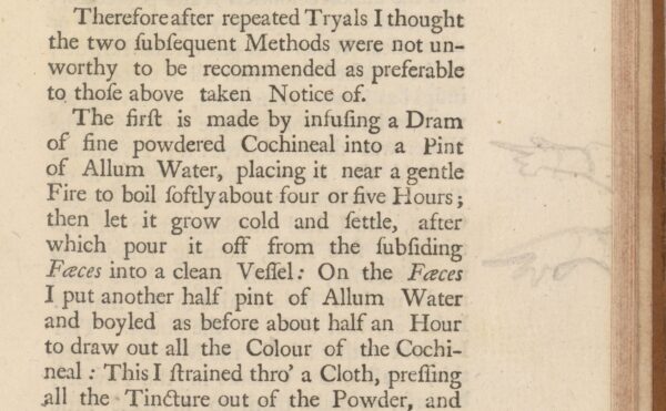 page from an old book