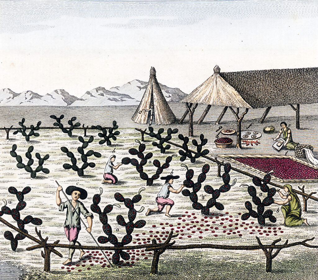 30 years later, Molly Ringwald and Ally Sheedy reunite to discuss “The  Breakfast Club” – The Daily Texan, image size:1024x903