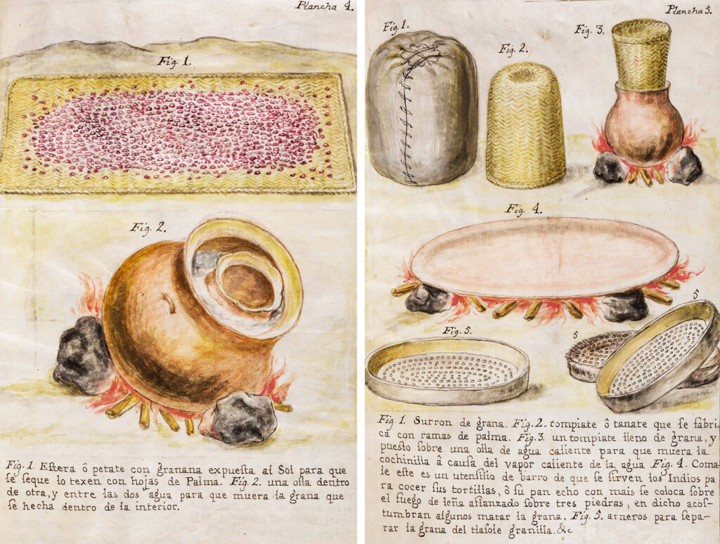 Left image shows cochineal on a woven mat and a pot inside another pot over fire. Right image shows a sack, baskets, a pot over fire, a griddle, and flat sieves.