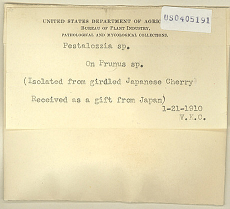 USDA Bureau of Plant Industry Pathological and Mycological Collections specimen card