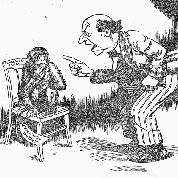 "You Can't Make a Monkey Out of Me," cartoon featured in the May 31, 1925, issue of the New York Times