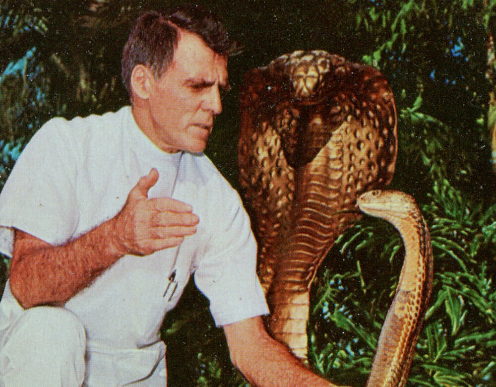 Man holding his hand in front of a cobra’s head. A golden cobra statue is visible in background.