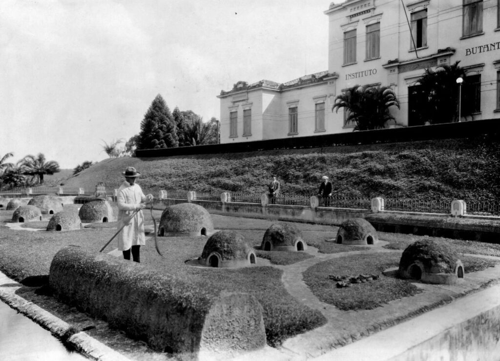 Man holding a snake inside a grassy enclosure filled with igloo-shaped snake dens of various sizes