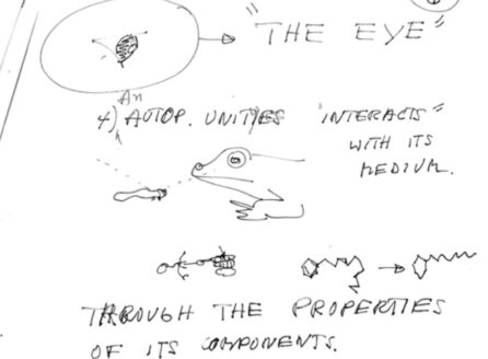 illustrated note about a frog