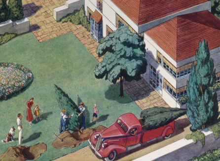 full-page color ad depicting a grown tree being planted in a landscaped yard