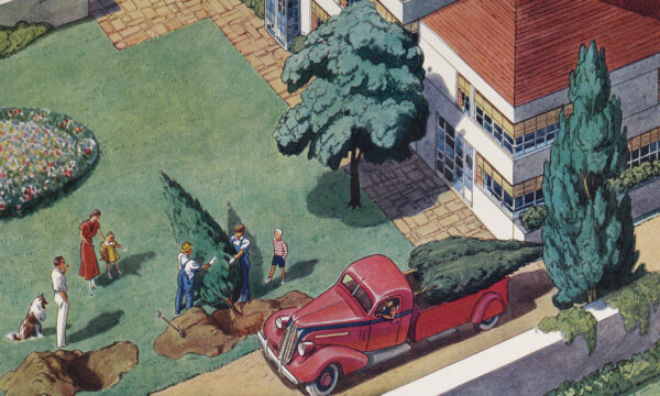 full-page color ad depicting a grown tree being planted in a landscaped yard