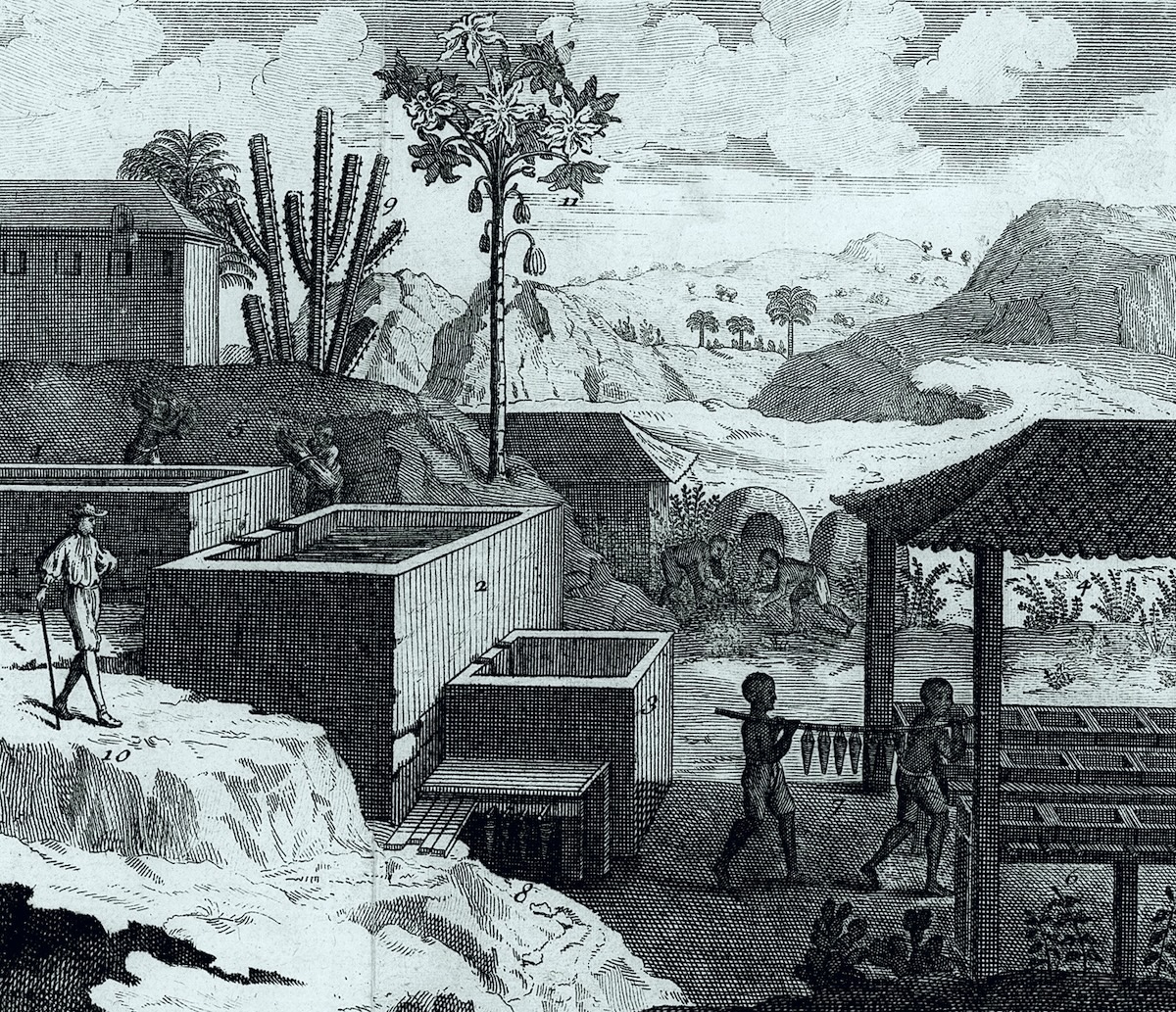 illustration of indigo manufacturing in French West Indies in the 1700s